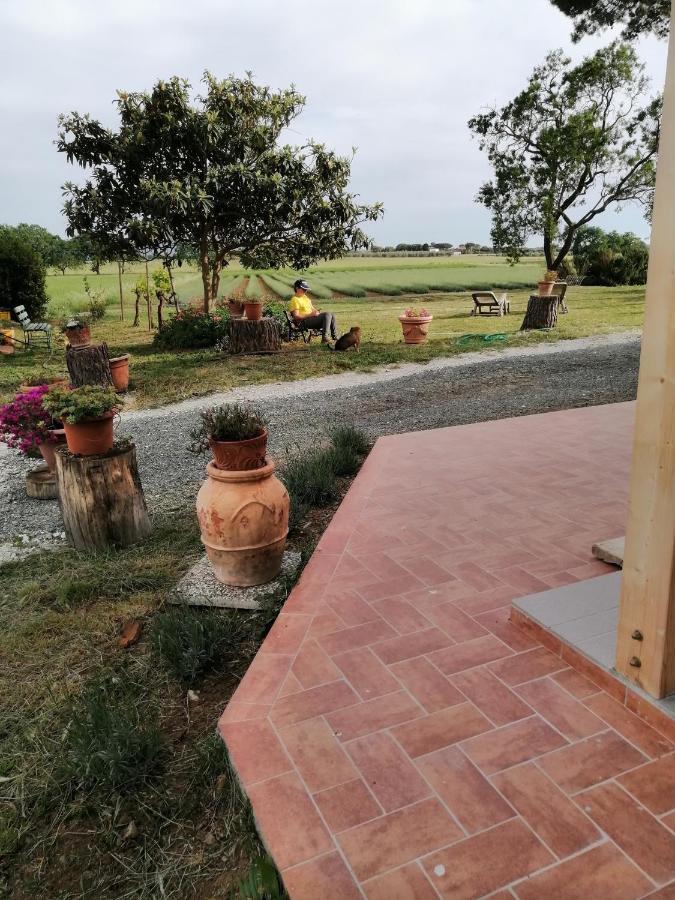 Agriturismo Susanna E Atria Bibbona Exterior photo