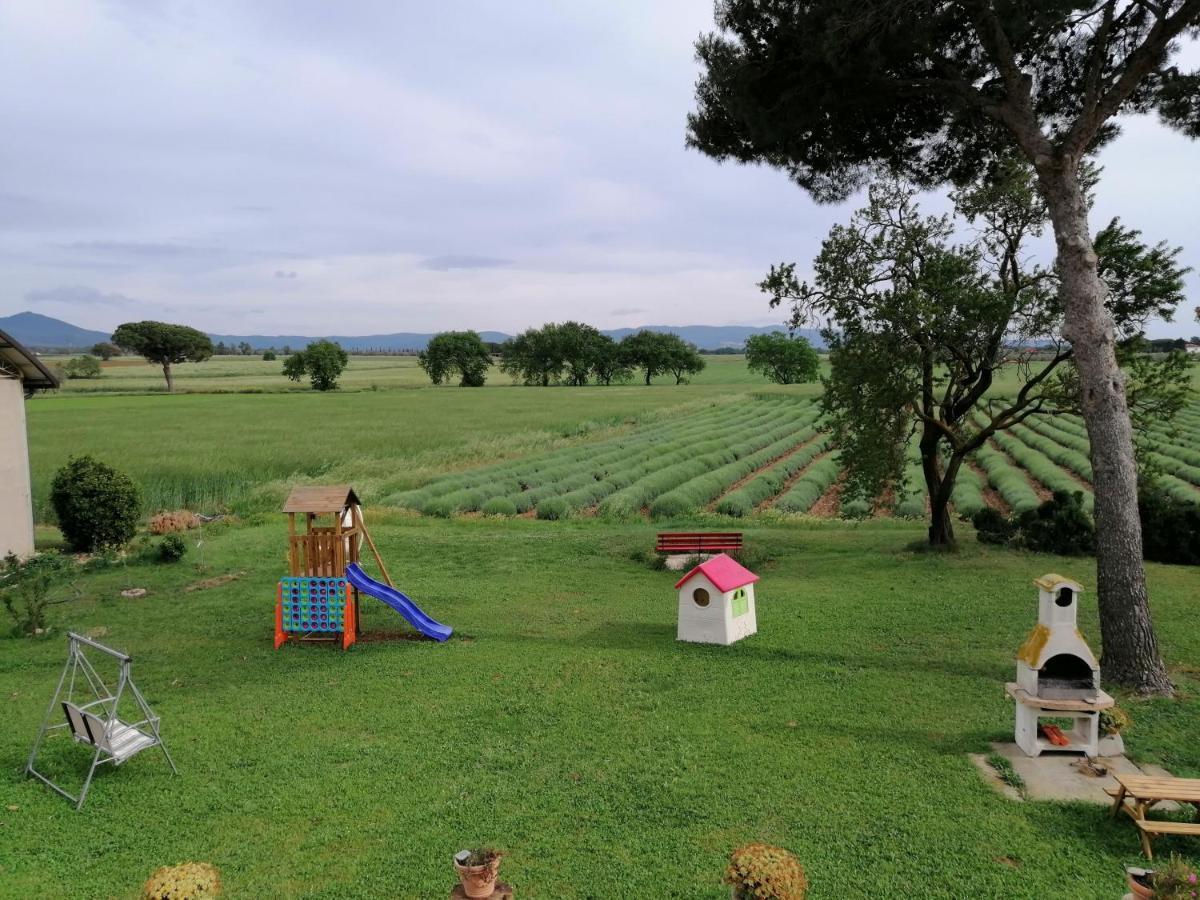Agriturismo Susanna E Atria Bibbona Exterior photo